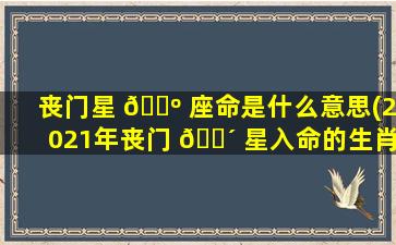 丧门星 🌺 座命是什么意思(2021年丧门 🐴 星入命的生肖)